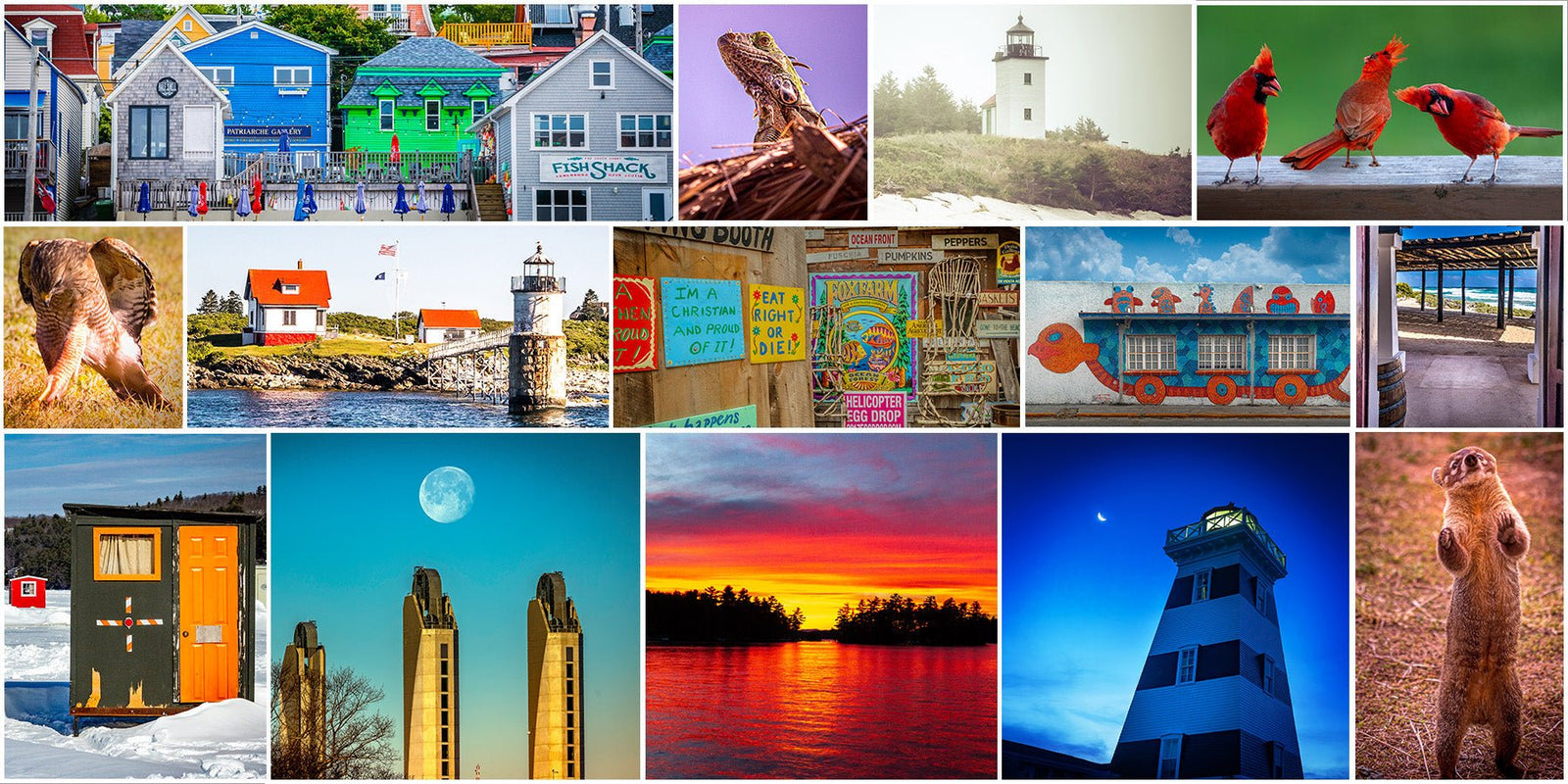 Limited Edition Aluminum Photography Prints - The Photography Bar