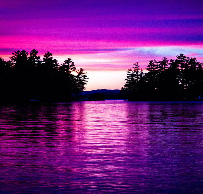 Purple sunset over a lake with tree silhouettes