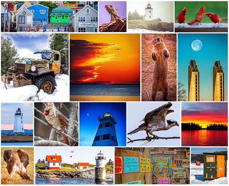 Collage of various images including buildings, nature scenes, and animals.