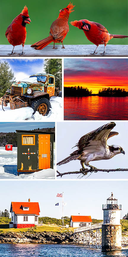 Collage of various images including red cardinals, a sunset over water, an old truck, a wooden shed, and a lighthouse.
