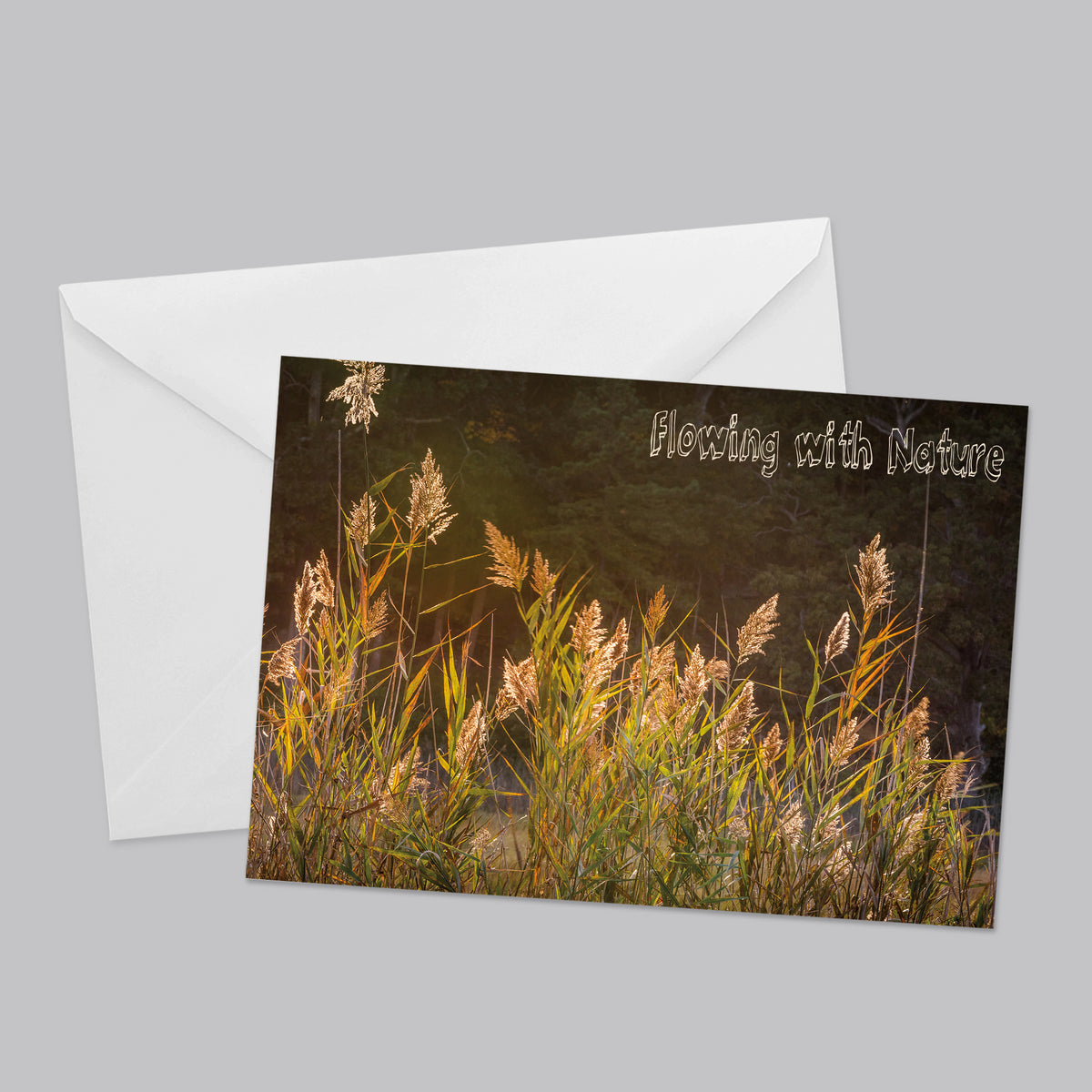 Flora and Fauna Greeting Card Set - Thephotographybar