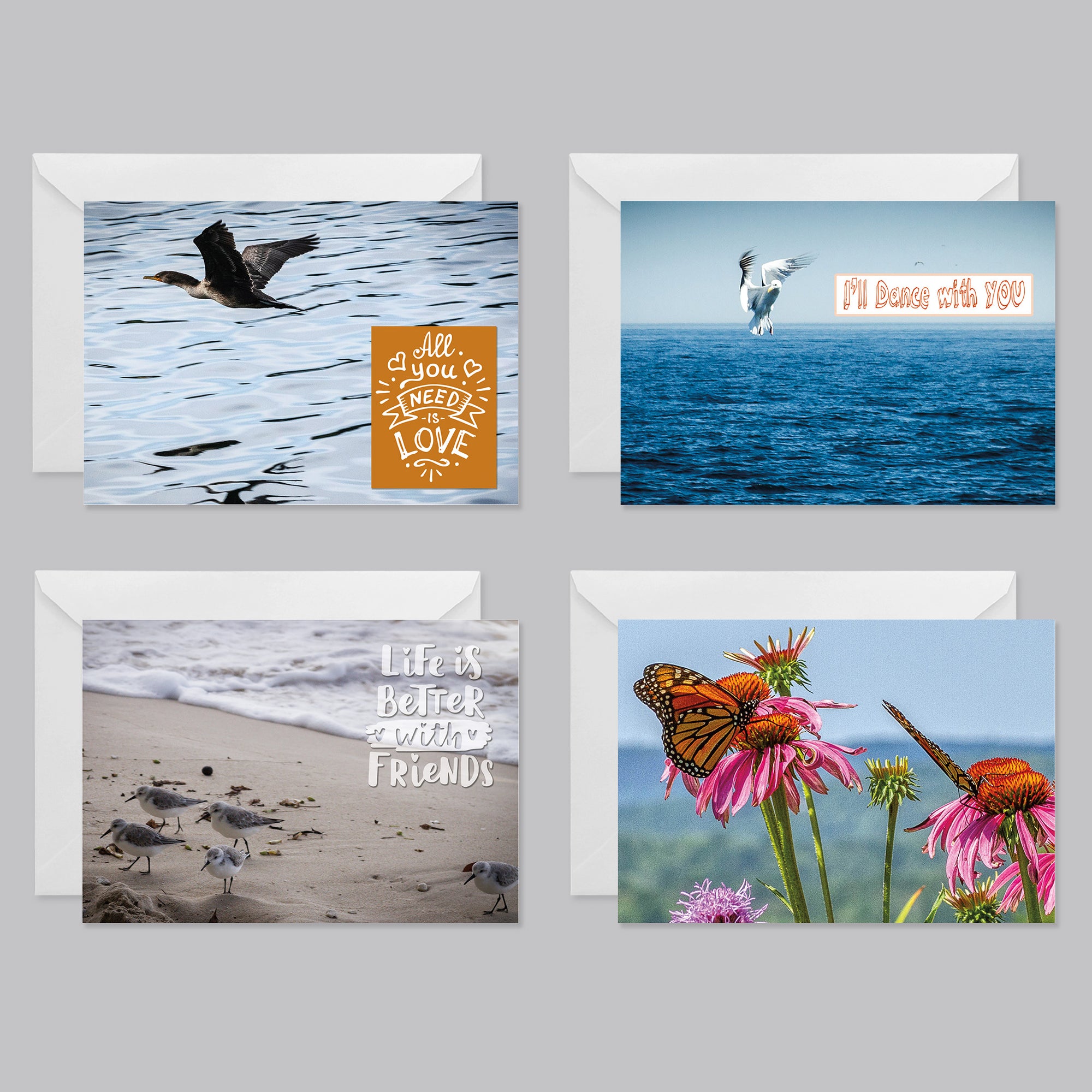 Birds and Butterfly Greeting Card Set - Thephotographybar