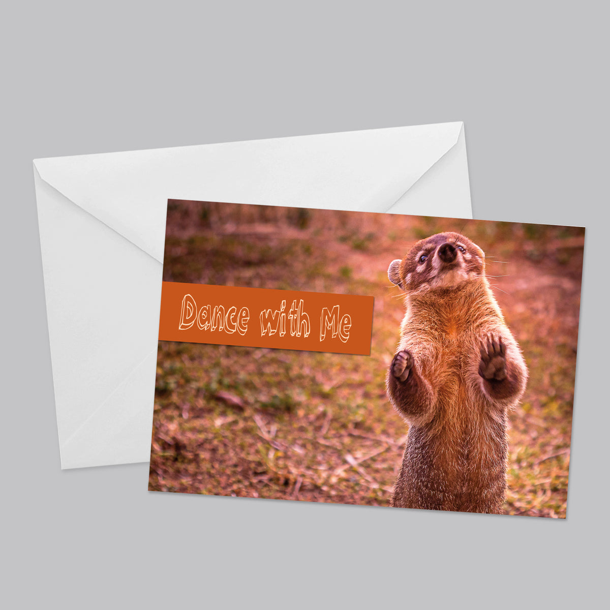 Nature Friends Greeting Card Set - Thephotographybar