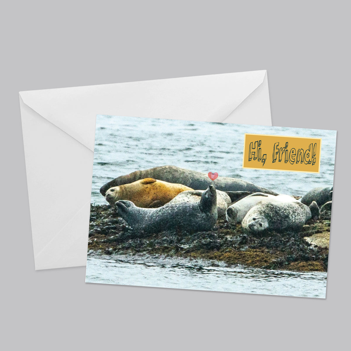 Nature Friends Greeting Card Set - Thephotographybar