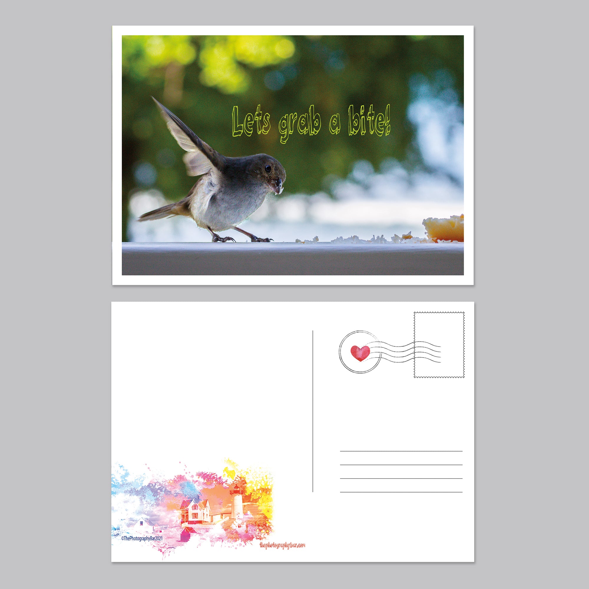 Feathered Friends Postcard Set - Thephotographybar