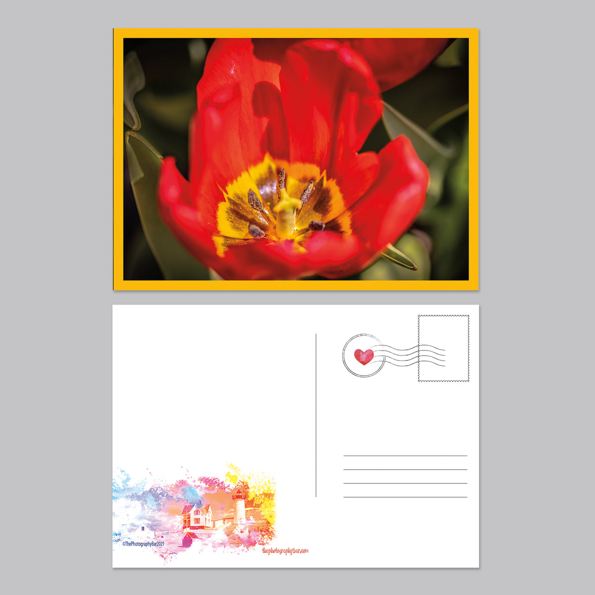 Flower, Love and Friendship Postcard Set - Thephotographybar